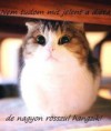 /album/fenykepgaleria/a1502476-646194772112132-1860519219-n-jpg/