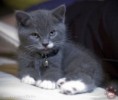 /album/fenykepgaleria/dsc0695-bb-1-jpg/